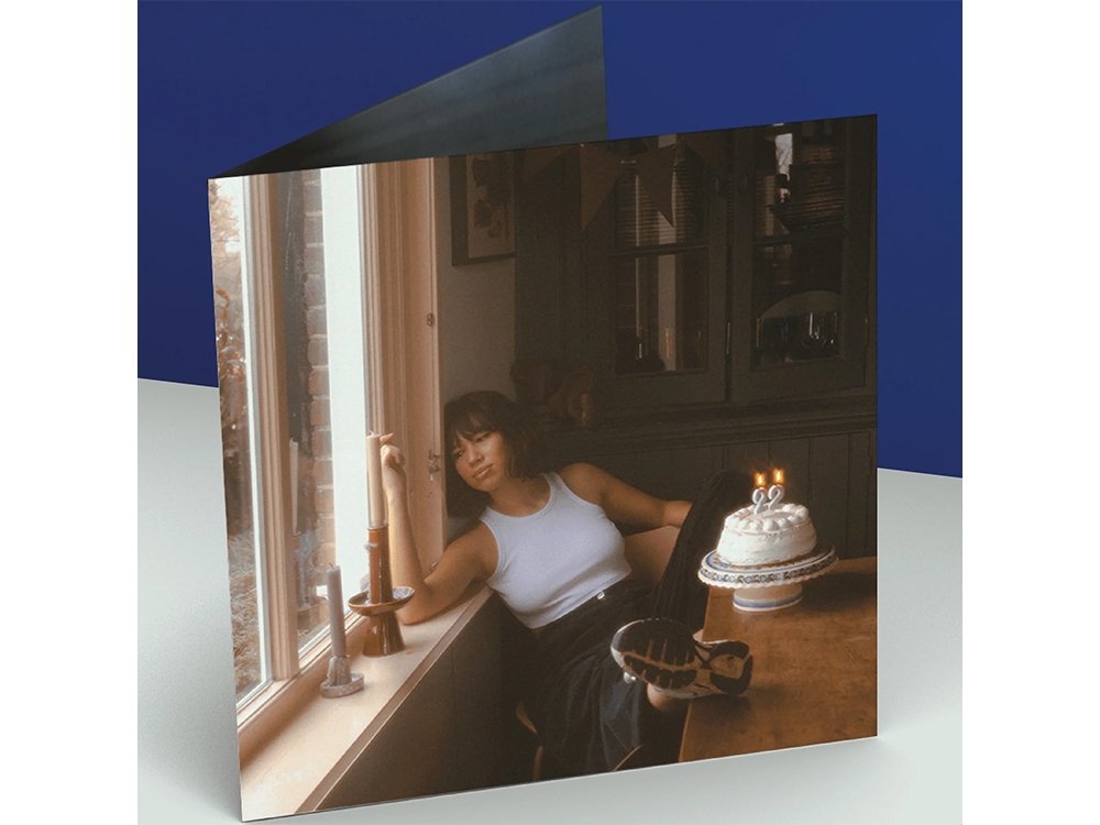 22 Deluxe Zwart Vinyl